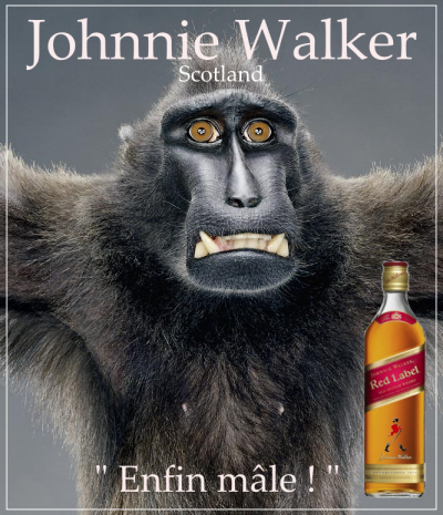 Johnny_Walker_03 Johnny_Walker_03