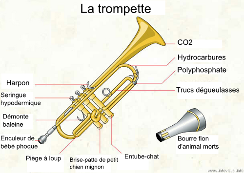 trompette_de_la_mort_01 trompette_de_la_mort_01